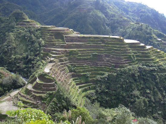 Photos of Banaue Rice Terraces, Banaue