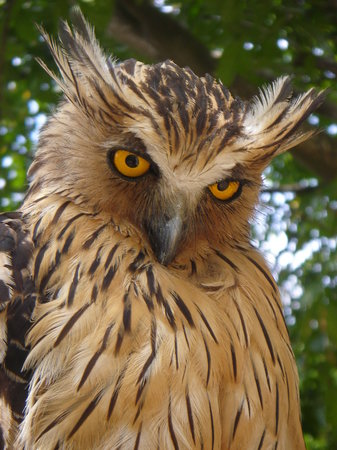 Photos of Penang Bird Park, Penang Island