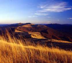 Bieszczady Mountains, Warsaw