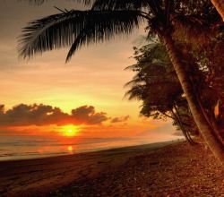 Corcovado National Park, Puntarenas