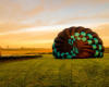 Beyond Ballooning Cessnock Australia