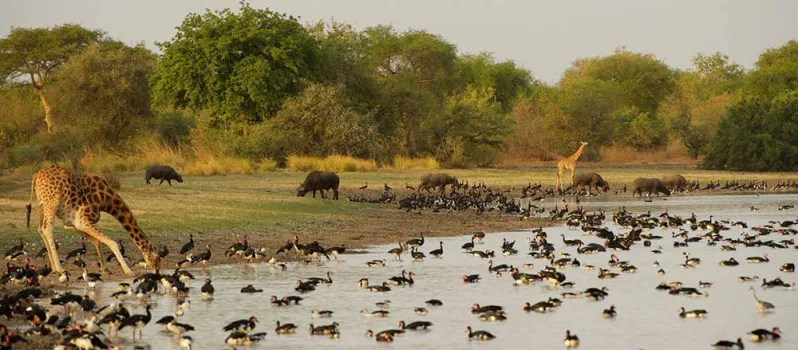 Zakouma National Park