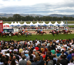 Albury Racing Club Australia