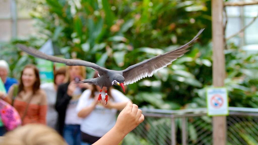 National Aviary Pittsburgh